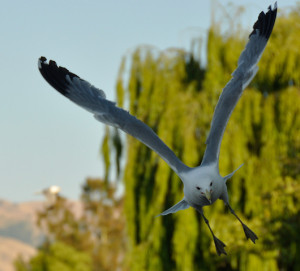 My AWESOME Vacation for 2014 (How I Booked It) My AWESOME Vacation for 2014 (How I Booked It)