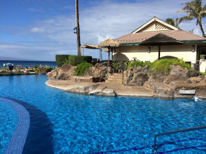 What I Learned From Hawaii What I Learned From Hawaii