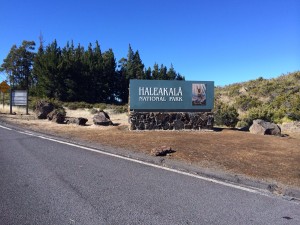 I Think I Found Happiness (January 07, 2014) I Think I Found Happiness (January 07, 2014)