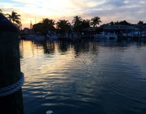 Greetings From Key West! (December 23, 2014) Greetings From Key West! (December 23, 2014)