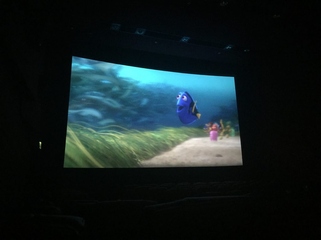 Dory - 1